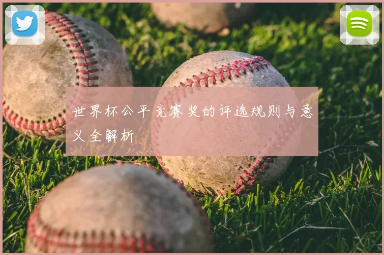 世界杯公平竞赛奖的评选规则与意义全解析