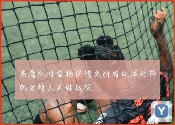 老鹰队特雷杨伤情更新将缺席对阵凯尔特人关键战役