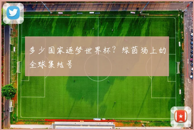 多少国家逐梦世界杯？绿茵场上的全球集结号
