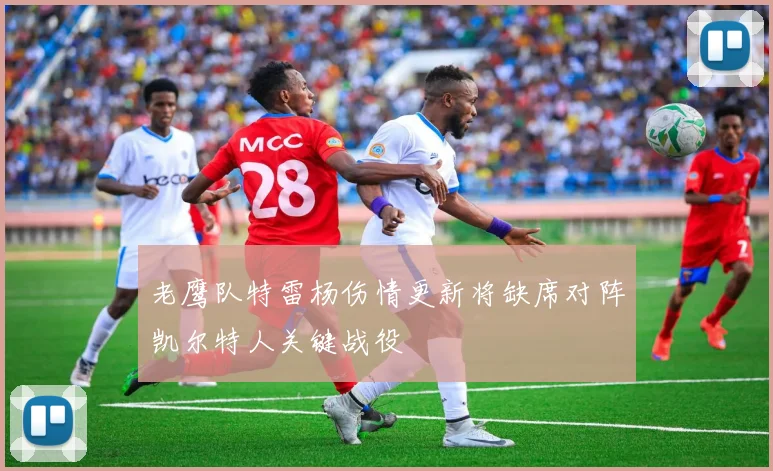 老鹰队特雷杨伤情更新将缺席对阵凯尔特人关键战役