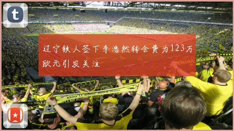 辽宁铁人签下李浩然转会费为123万欧元引发关注