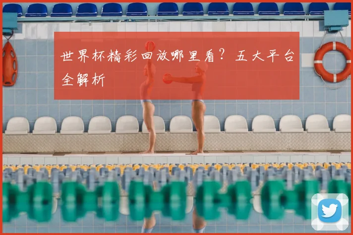 世界杯精彩回放哪里看?五大平台全解析