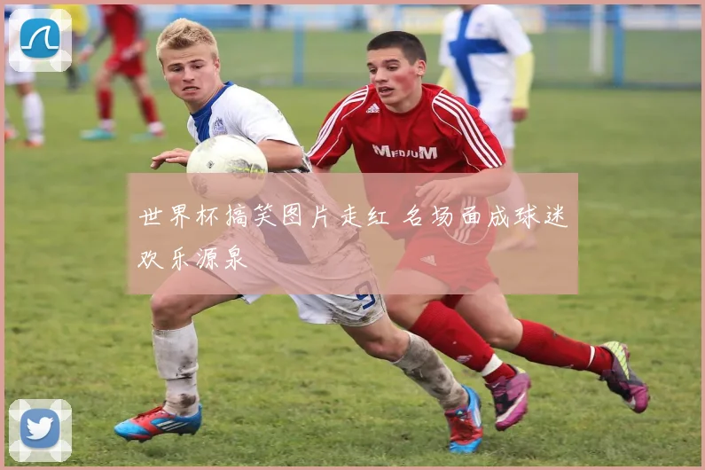 世界杯搞笑图片走红 名场面成球迷欢乐源泉