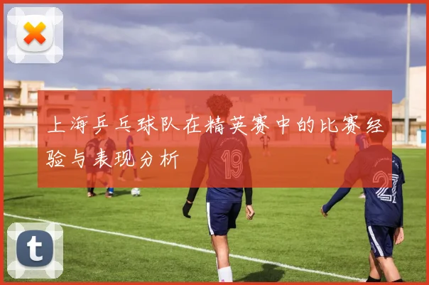 上海乒乓球队在精英赛中的比赛经验与表现分析