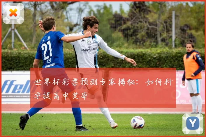 世界杯彩票预测专家揭秘：如何科学提高中奖率