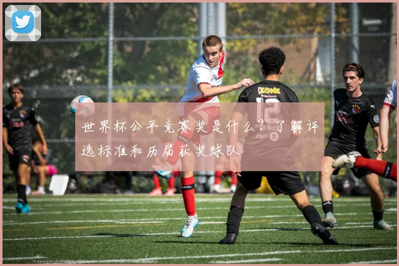 世界杯公平竞赛奖是什么？了解评选标准和历届获奖球队
