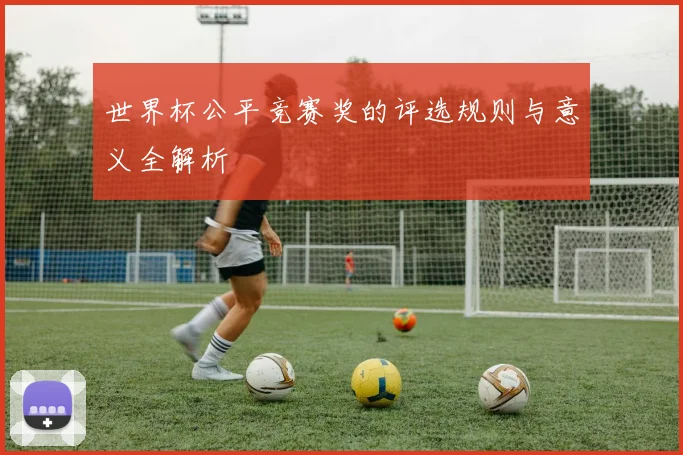 世界杯公平竞赛奖的评选规则与意义全解析