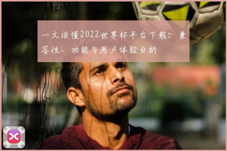一文读懂2022世界杯平台下载：兼容性、功能与用户体验分析