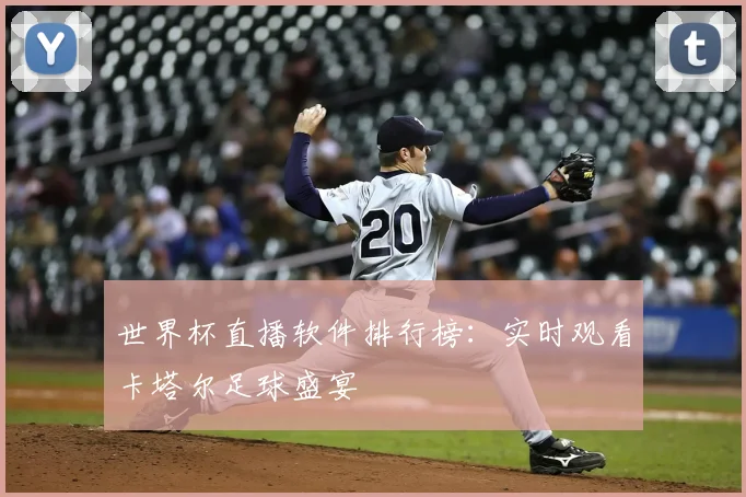 世界杯直播软件排行榜：实时观看卡塔尔足球盛宴